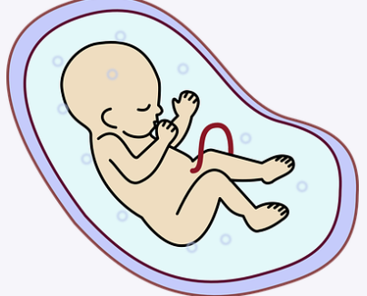 福馨孕产期小贴士：孕中晚期常常遇到胃部不适，反胃、烧心怎么办？